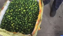 將影片載入圖庫檢視器並播放，Calamansi Squeezer Juicer Industrial Orange Lime Juice Extractor Machine
